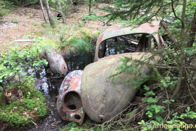 IMG 3668 Ryd 1024x640 AJ wm