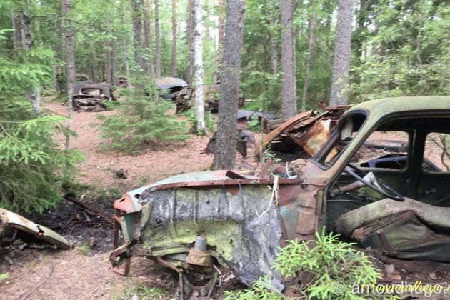 IMG 3671 Ryd 1024x640 AJ wm